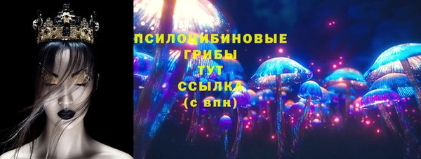 ГАЛЛЮЦИНОГЕННЫЕ ГРИБЫ Алексин