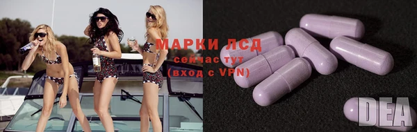 ГАЛЛЮЦИНОГЕННЫЕ ГРИБЫ Алексин
