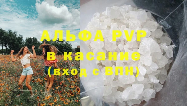 молекула духа Алексеевка