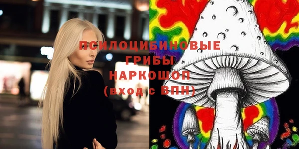 молекула духа Алексеевка