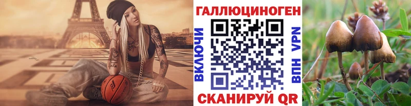 Галлюциногенные грибы Magic Shrooms  Всеволожск 