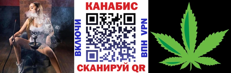 Конопля сатива Всеволожск